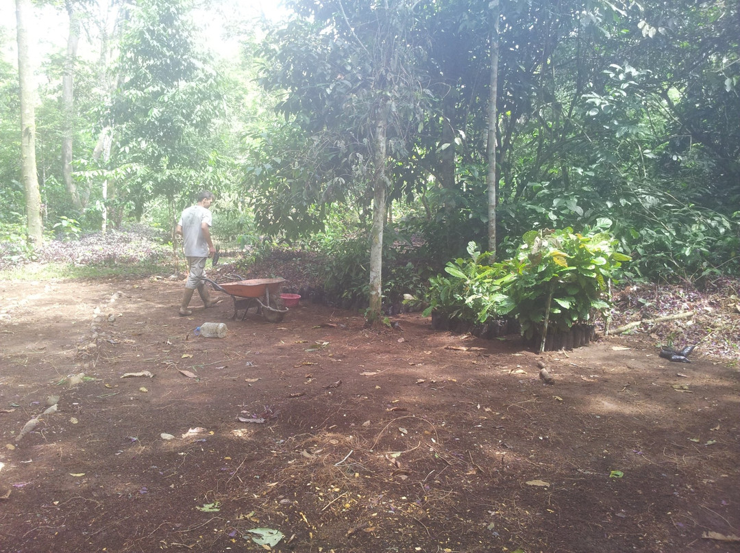 Jatun Sacha Biological Reserve-Misahualli必去景点