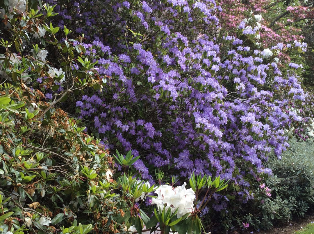 Cross Hills Gardens景点图片