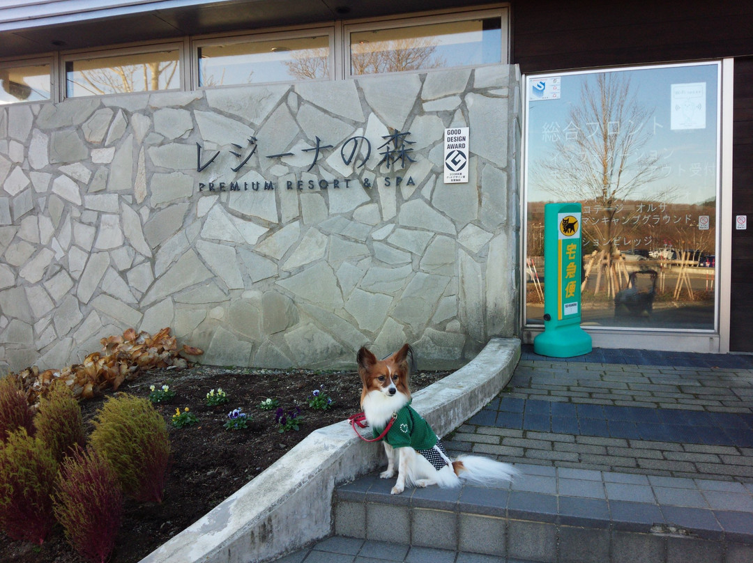 Angel Forest Nasu Shirakawa-天荣村必去景点
