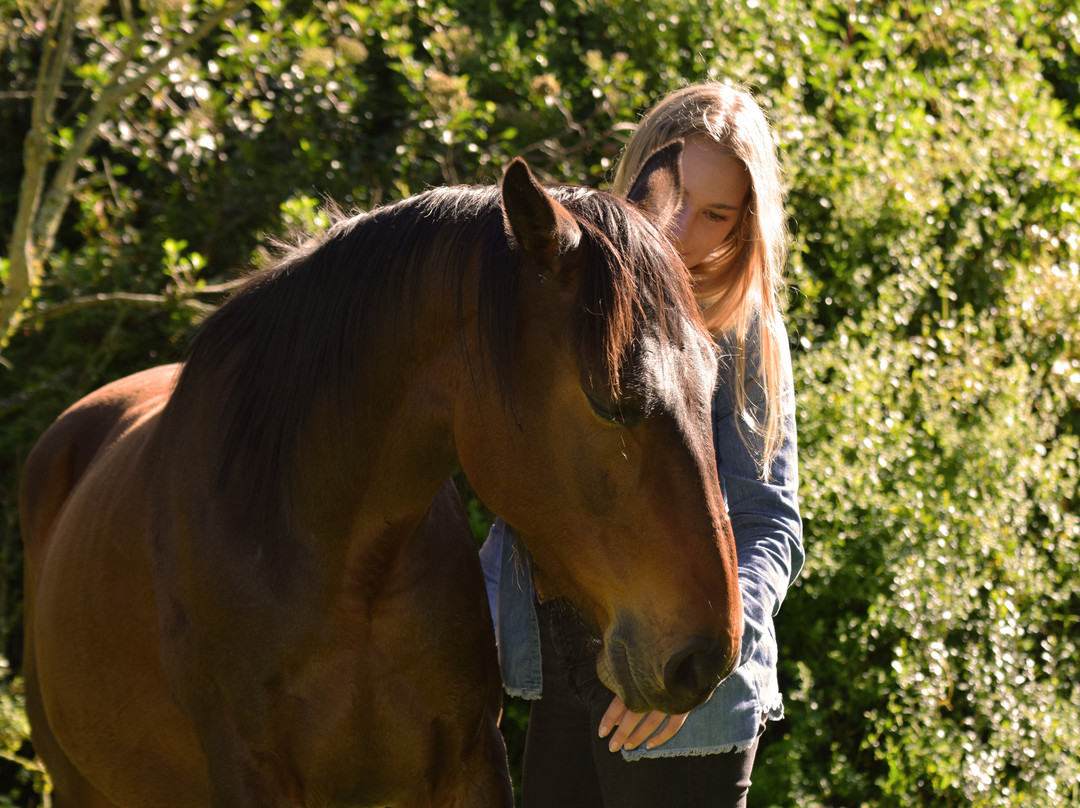 Mira Andes Ecuador-Machachi必去景点
