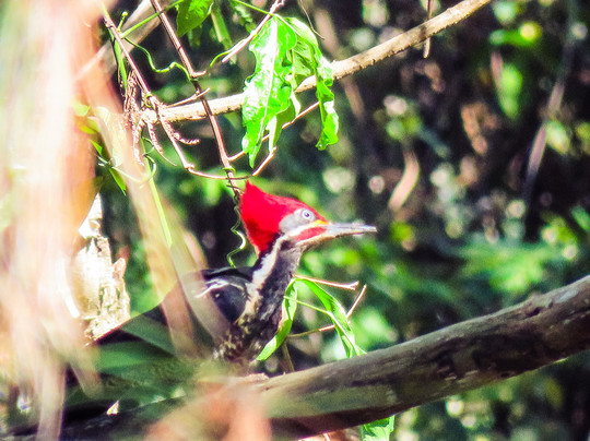 Hotel Ponto De Luz主图