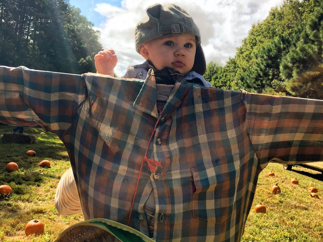 Grandy Greenhouse Farm Market-Grandy必去景点