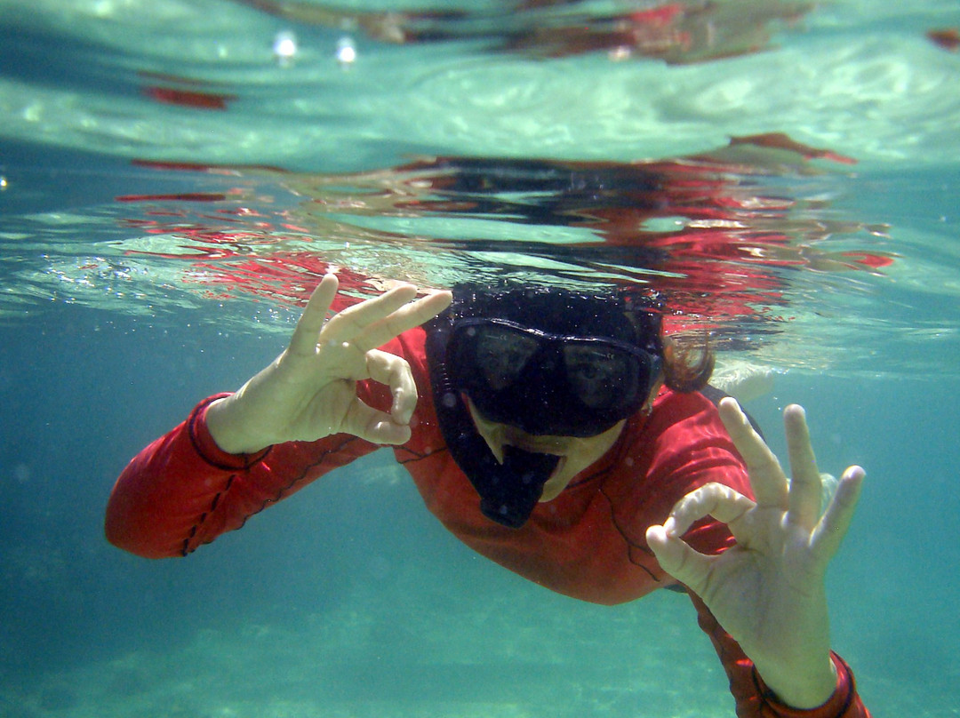 Ecomar Boipeba Ecoturismo Marinho