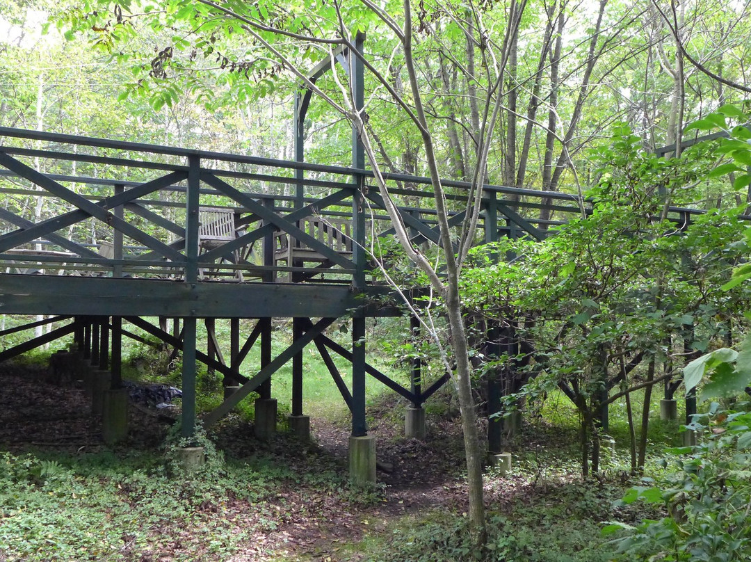 Yatsugatake Little Picture Book Museum-原村必去景点