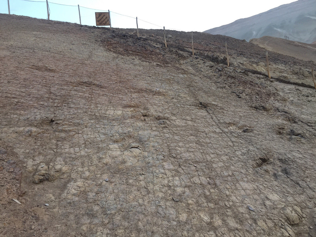 Parque Jurasico de Querulpa-阿雷基帕必去景点