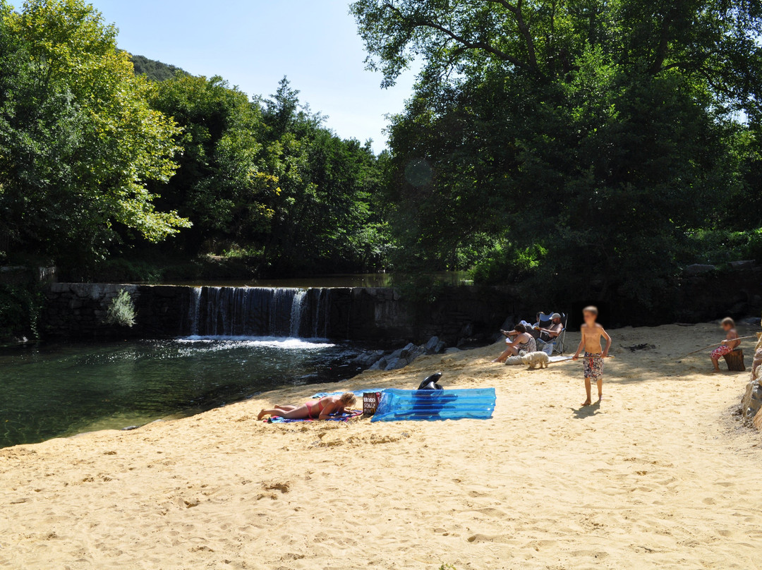 Camping Les Cerisiers du Jaur