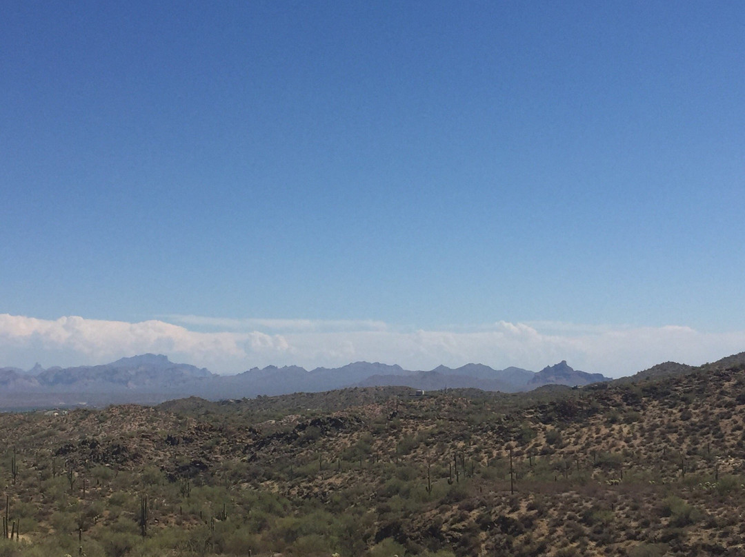 Dixie Mine Trail-Fountain Hills必去景点