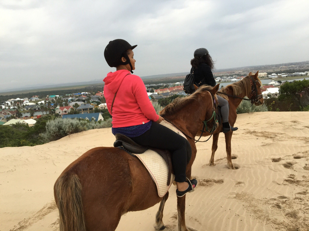 Mild2Wild Adventures-杰佛瑞湾必去景点