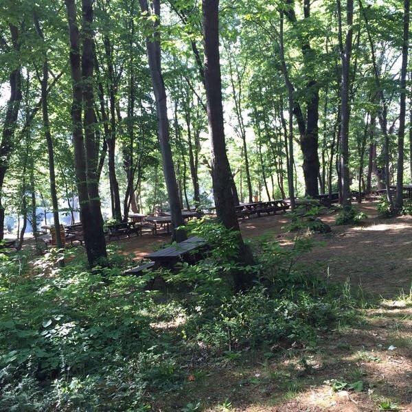 Kaymakdonduran Mesire Ormani-伊斯坦布尔必去景点