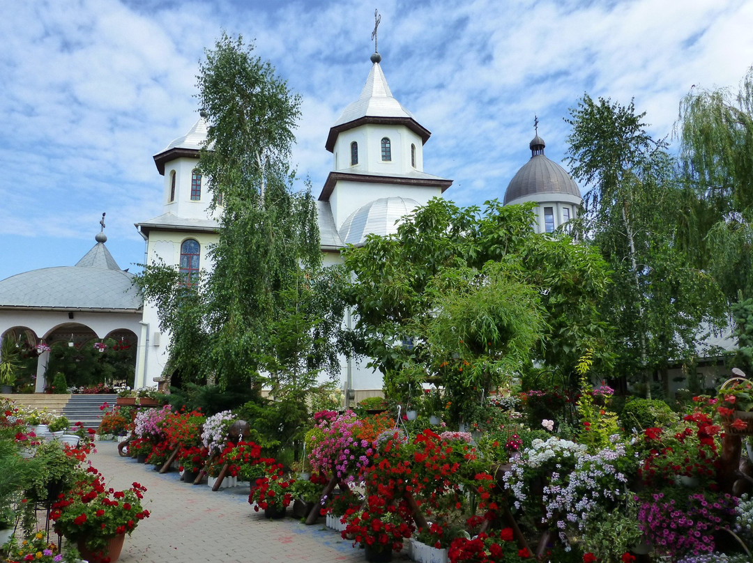 Dumbrava Monastery景点图片