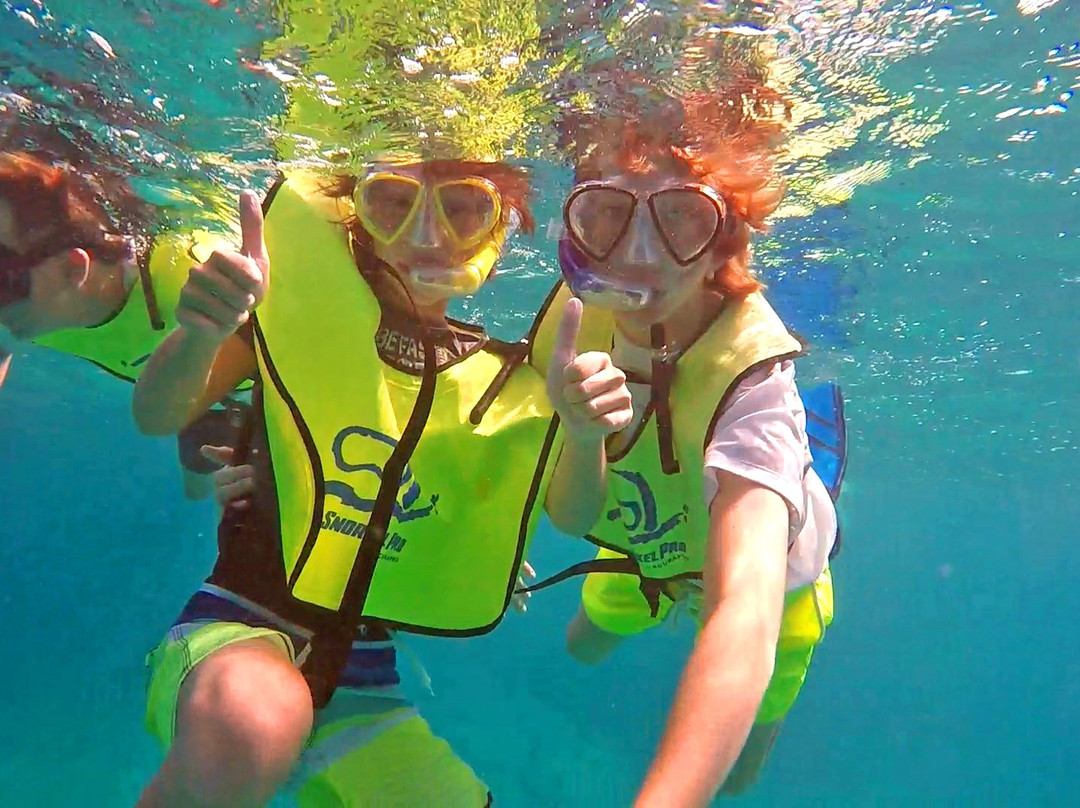 Big Al's Charter-普罗维登西亚莱斯必去景点