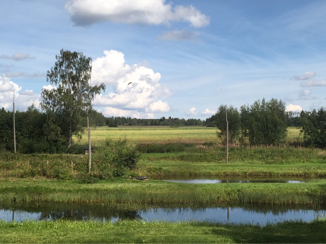 Erajarvi旅游景点-Pohtiolampi