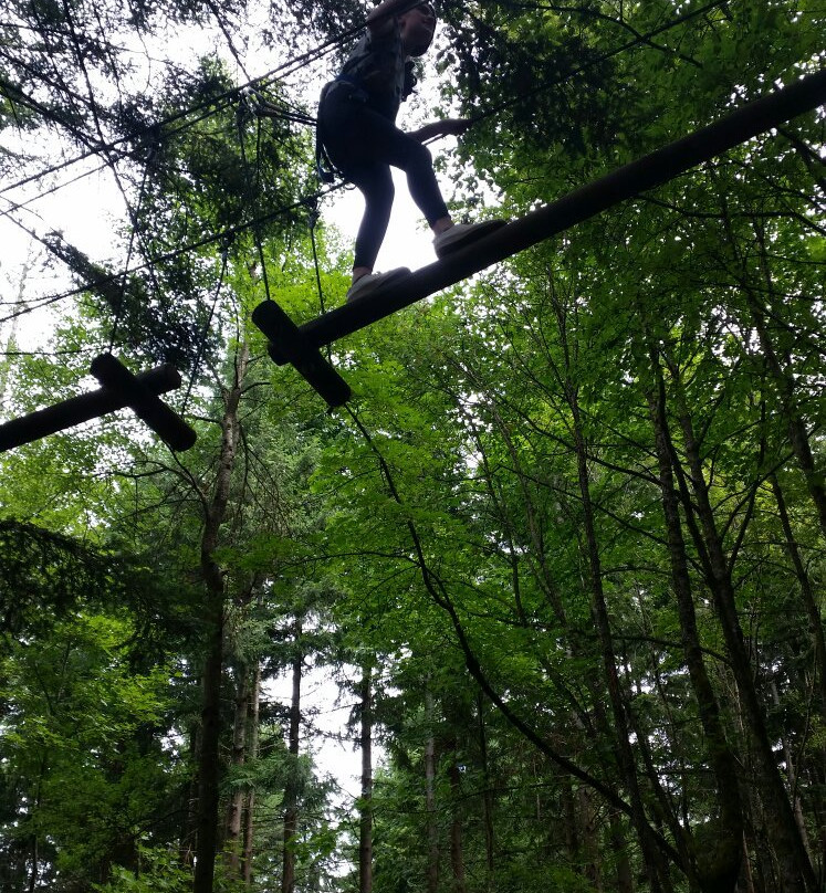 Parc Alsace Aventure景点图片