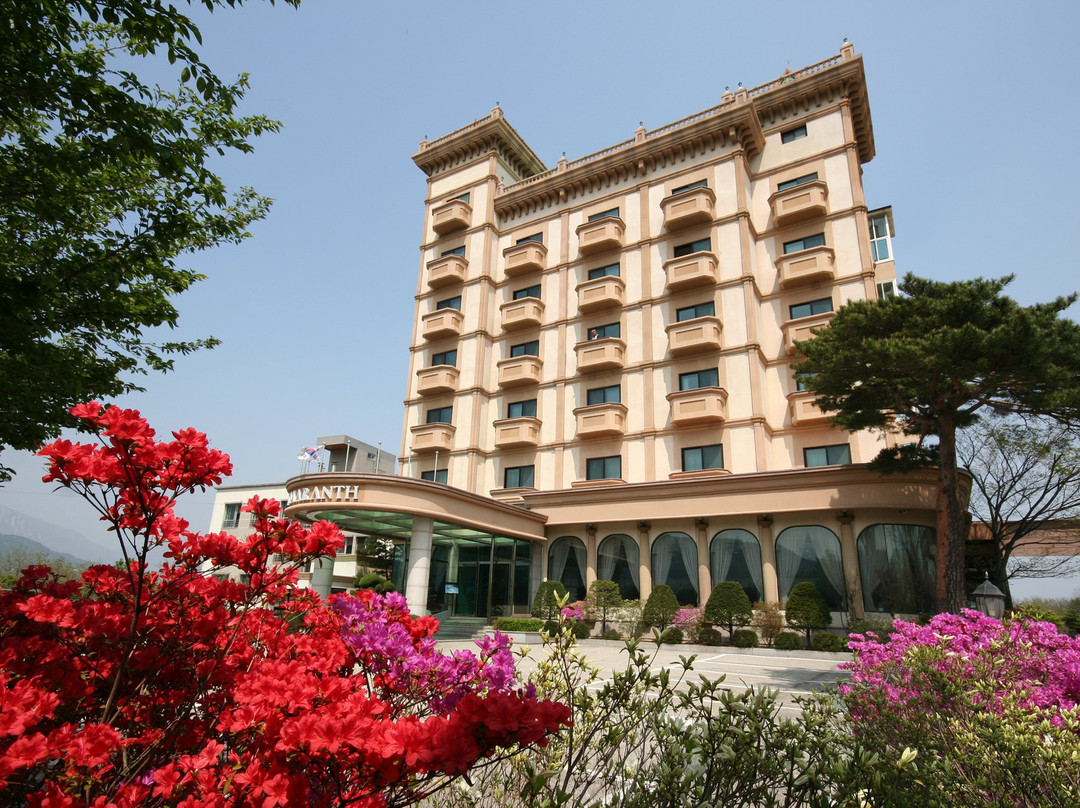 Hotel Amaranth主图