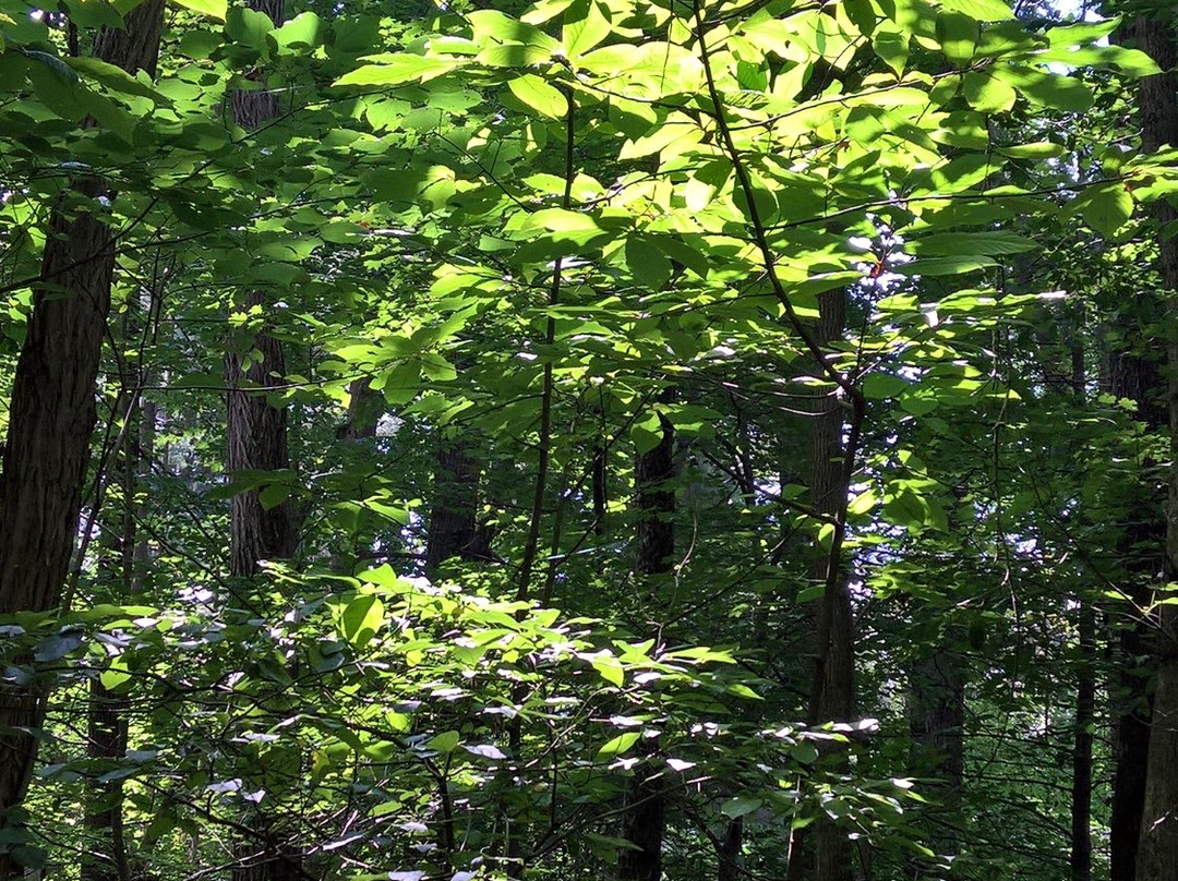 Muscatatuck National Wildlife Refuge-Seymour必去景点