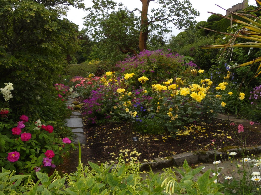 Go Ape Aberdeen-Banchory必去景点