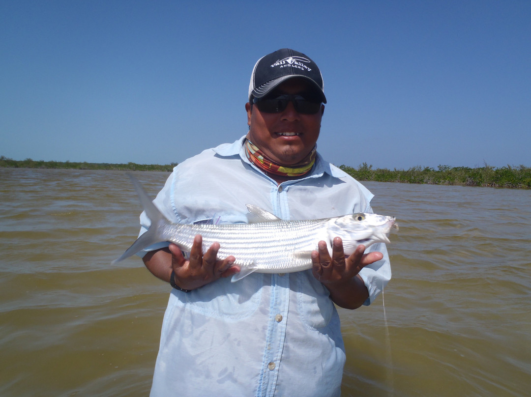 The Xflats-Xcalak必去景点