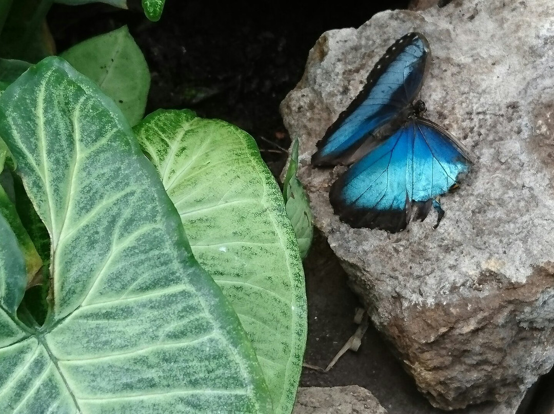 Selva Viva-圣地亚哥必去景点