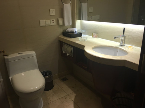 富蓝特大酒店主图