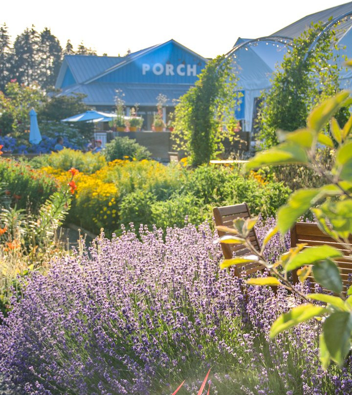 Langley旅游攻略图片