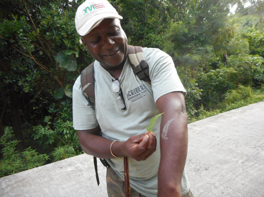 Scriber's Adventure Tours-Little Bay必去景点