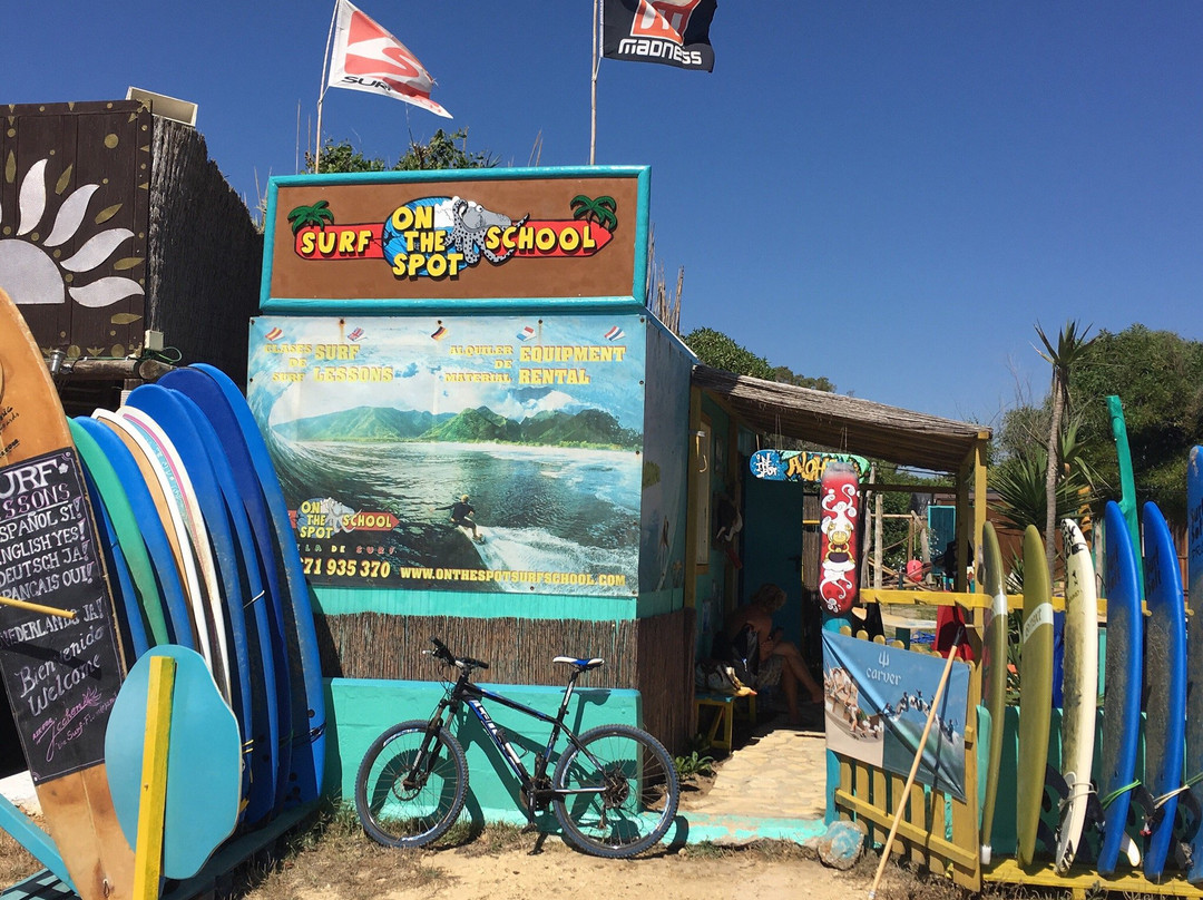 On The Spot Surf School景点图片