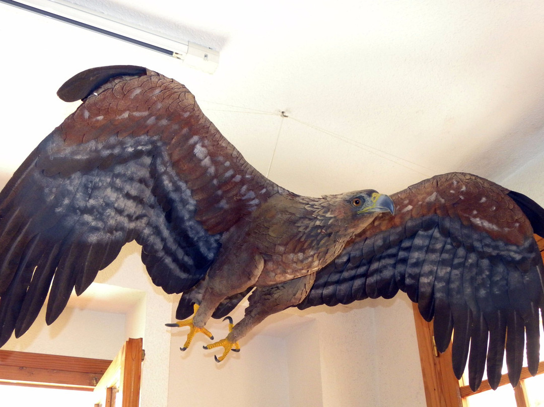 Frondosa Naturaleza Theme Center-卡索拉必去景点