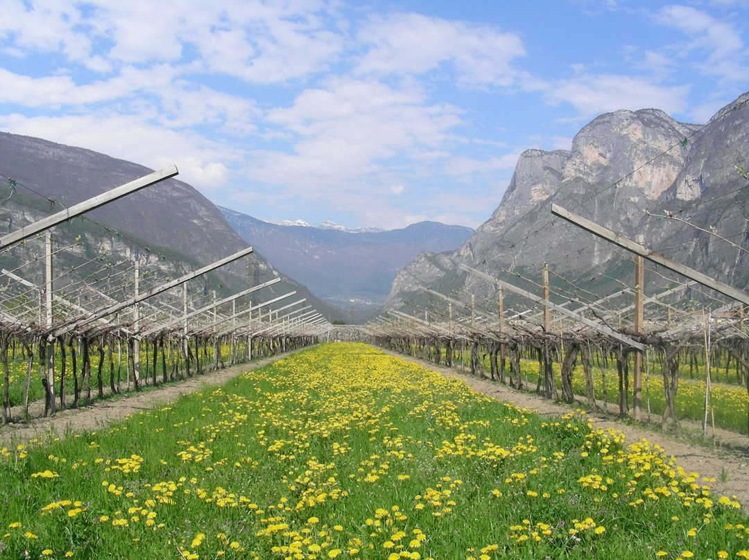 Cantina Marco Donati-Mezzocorona必去景点