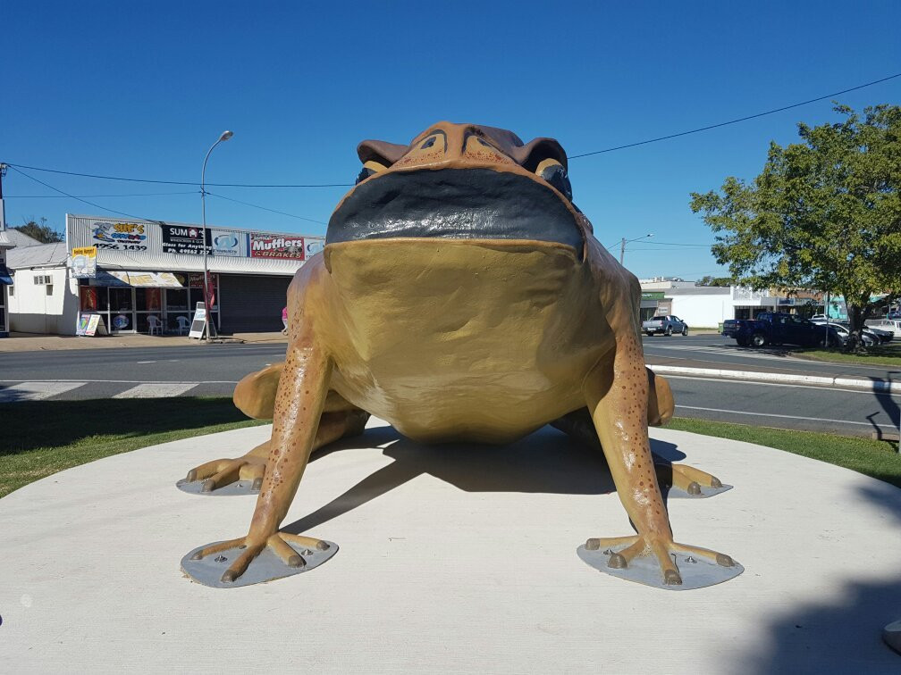 Big Cane Toad景点图片