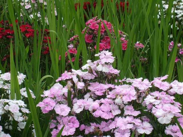 Karasugamori park-那须盐原市必去景点