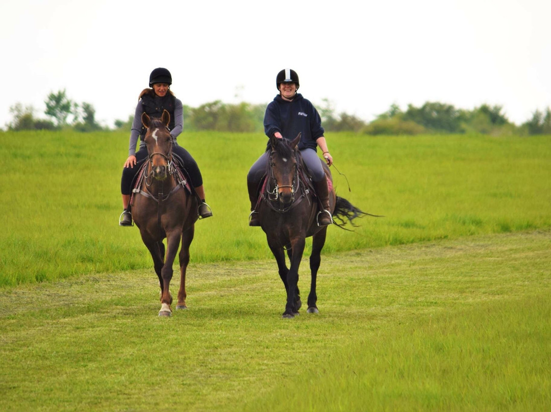 Stewarton Polo Club景点图片