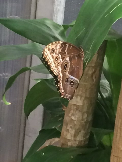 Science Spectrum Museum-拉伯克县必去景点