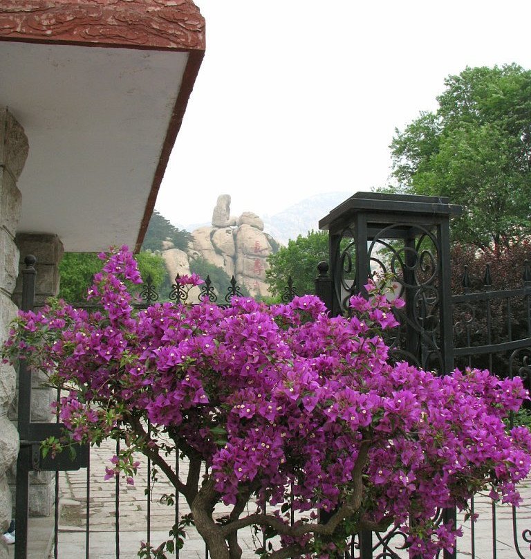 五佛山森林公园-秦皇岛市必去景点