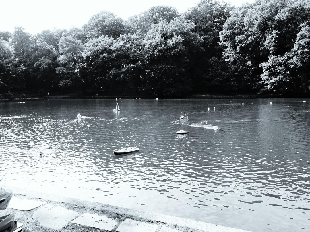 Streichelzoo und Wildgehege Hohenstein-维滕必去景点