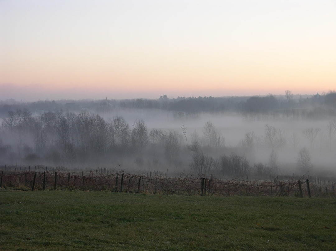 Vignoble Les Trois Clochers-Dunham必去景点