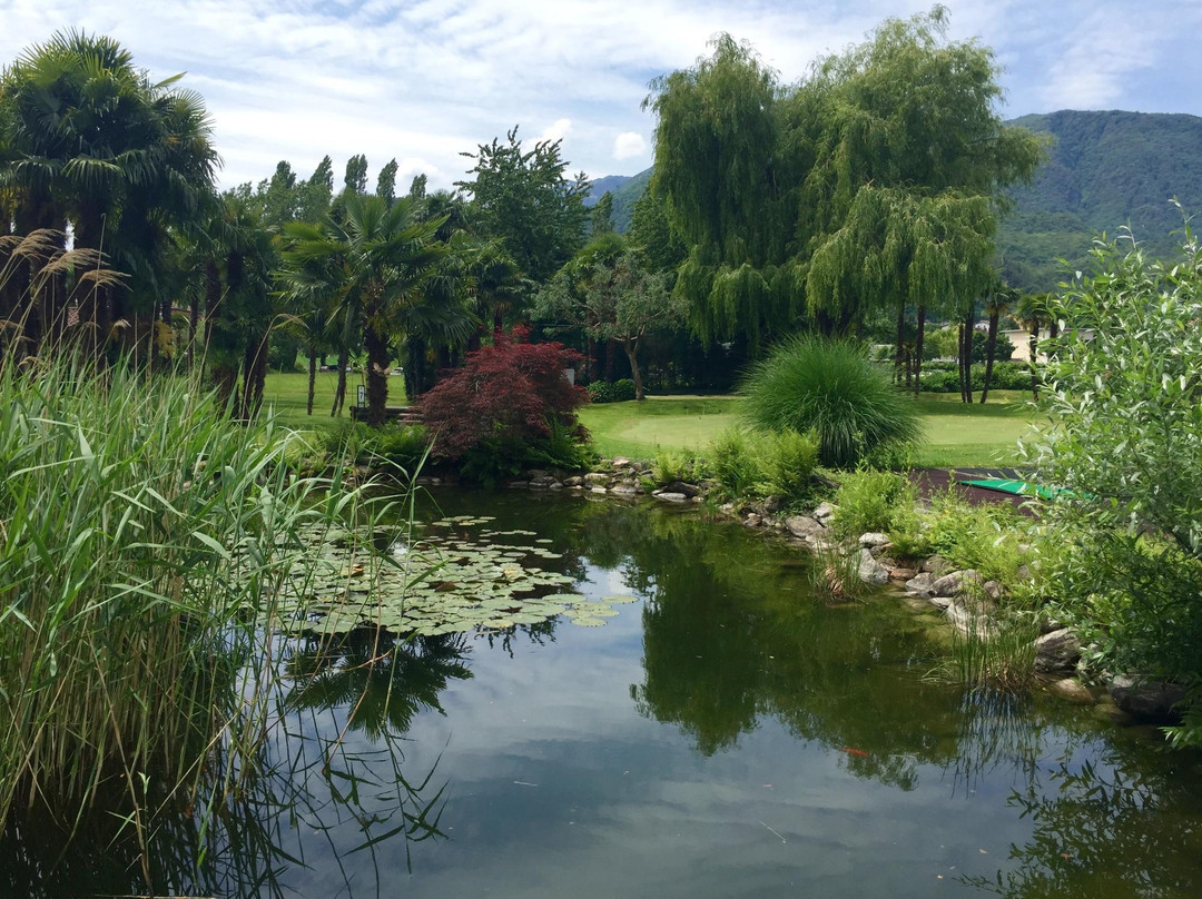 Sake Golf-Losone必去景点