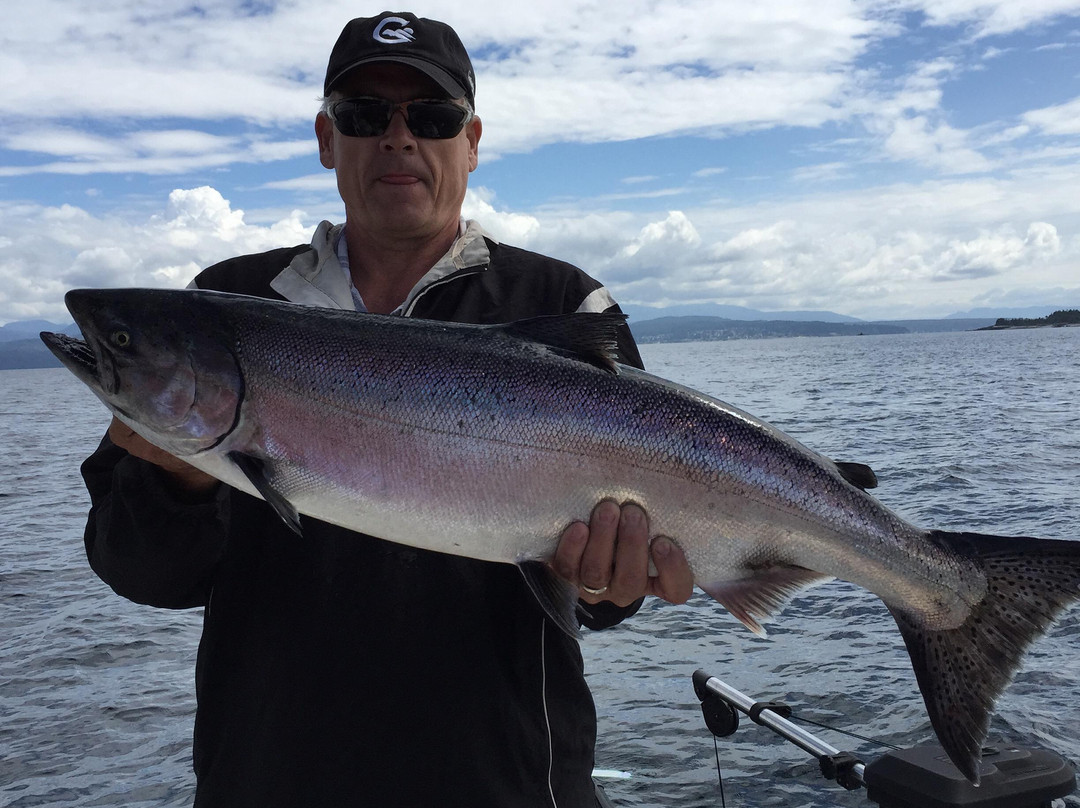 Powell River Sportfishing-鲍威尔里弗必去景点