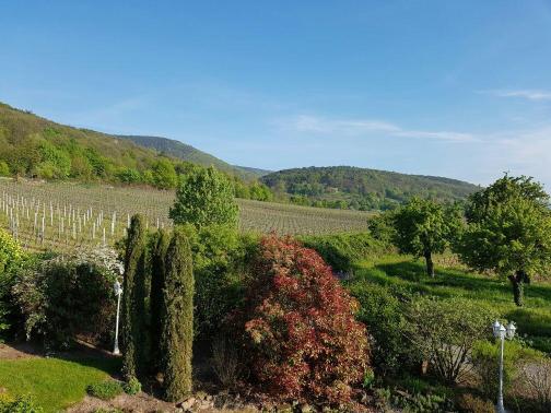 Gastehaus-Weingut Helbighof-官方