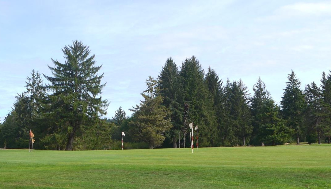 Willapa Harbor Golf景点图片