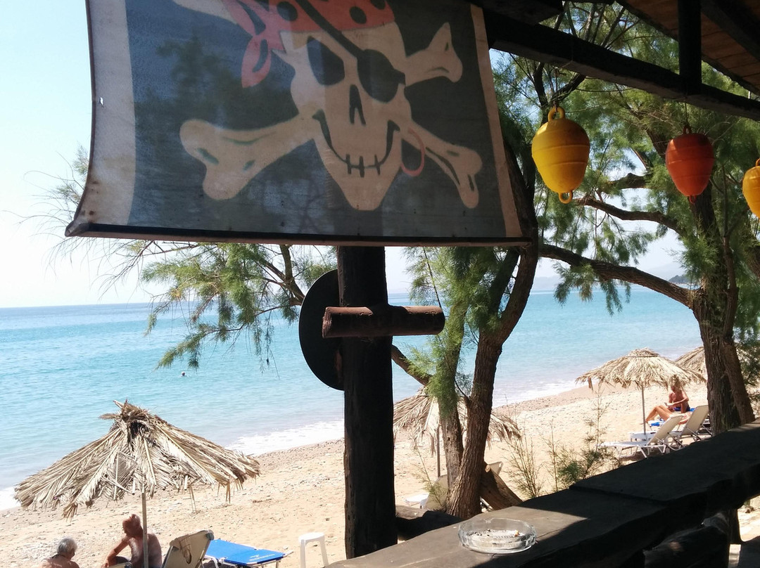 Pansion Katoji主图