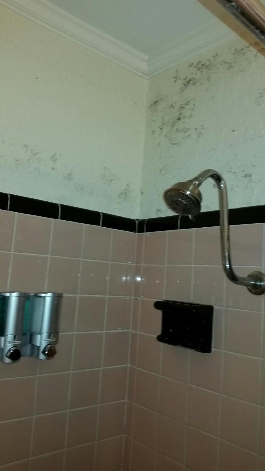 Reeds Motel and Oasis Banquet Hall-浴室