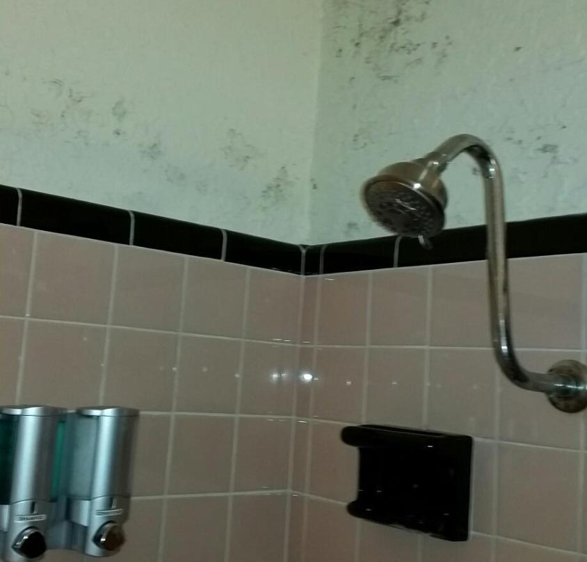 Reeds Motel and Oasis Banquet Hall主图