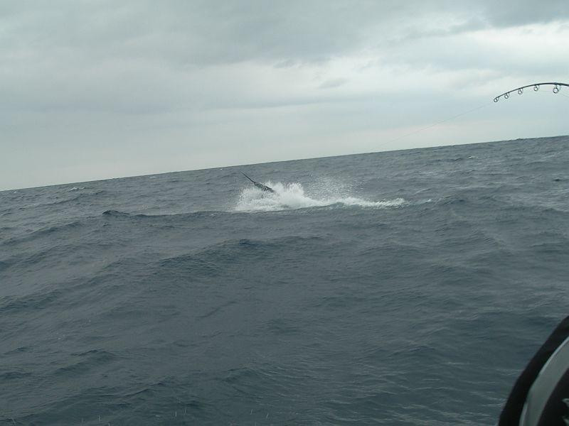 Hot Fishing Charters景点图片