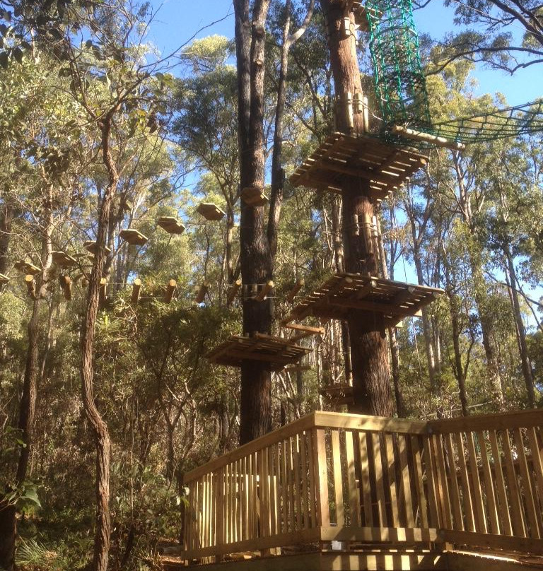 Treetops Adventure Dwellingup景点图片