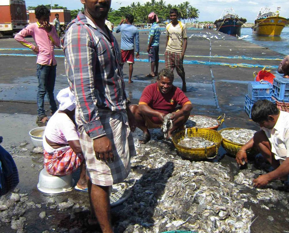 Neendakara Port-科兰必去景点