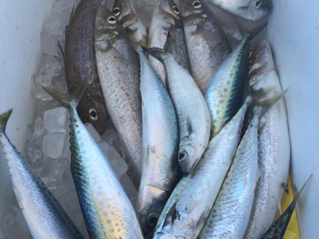 Cooinda Fishing Charters-Penneshaw必去景点