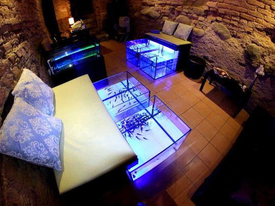 Fish Spa Vilnius-维尔纽斯必去景点