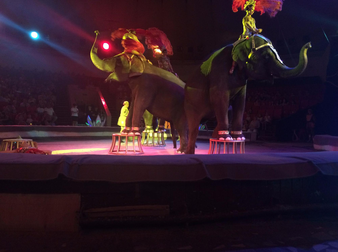 Kislovodsk State Circus景点图片
