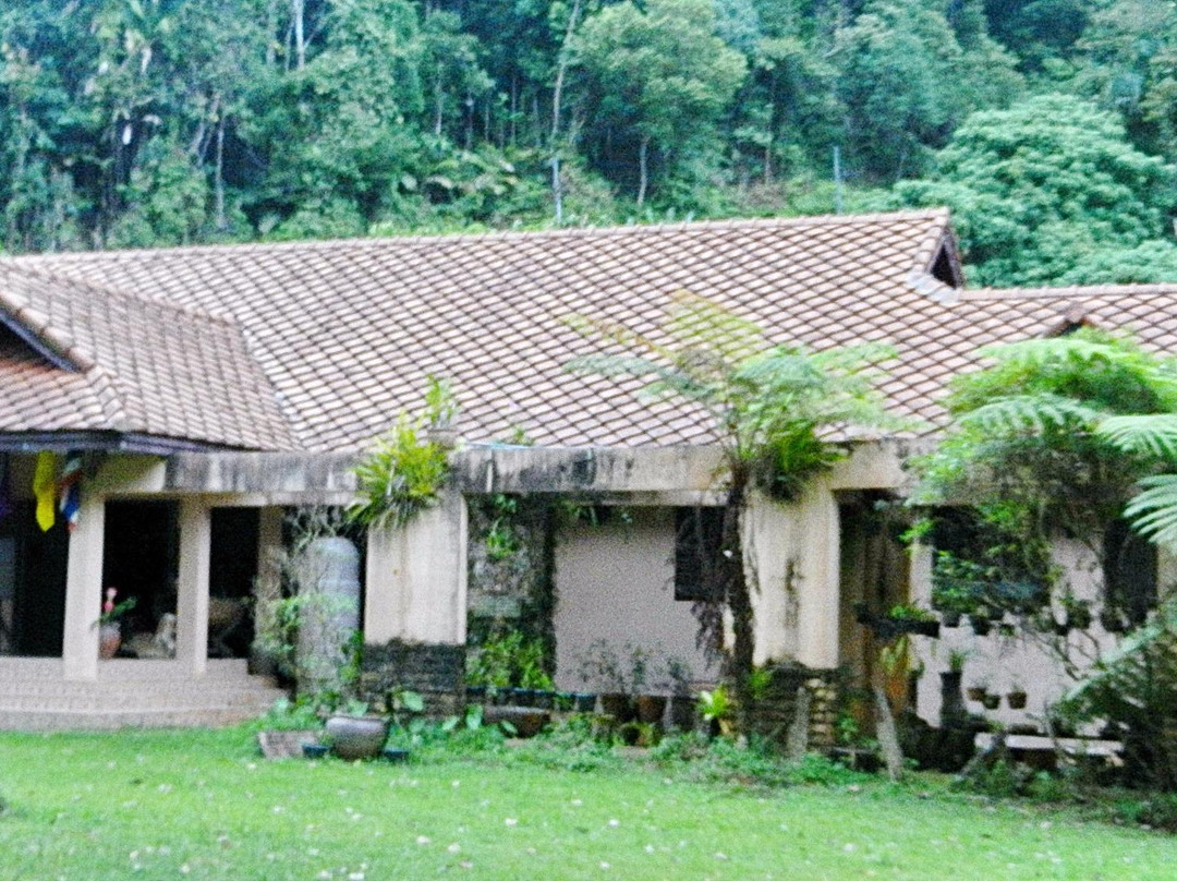 Hala-Bala Wildlife Sanctuary景点图片