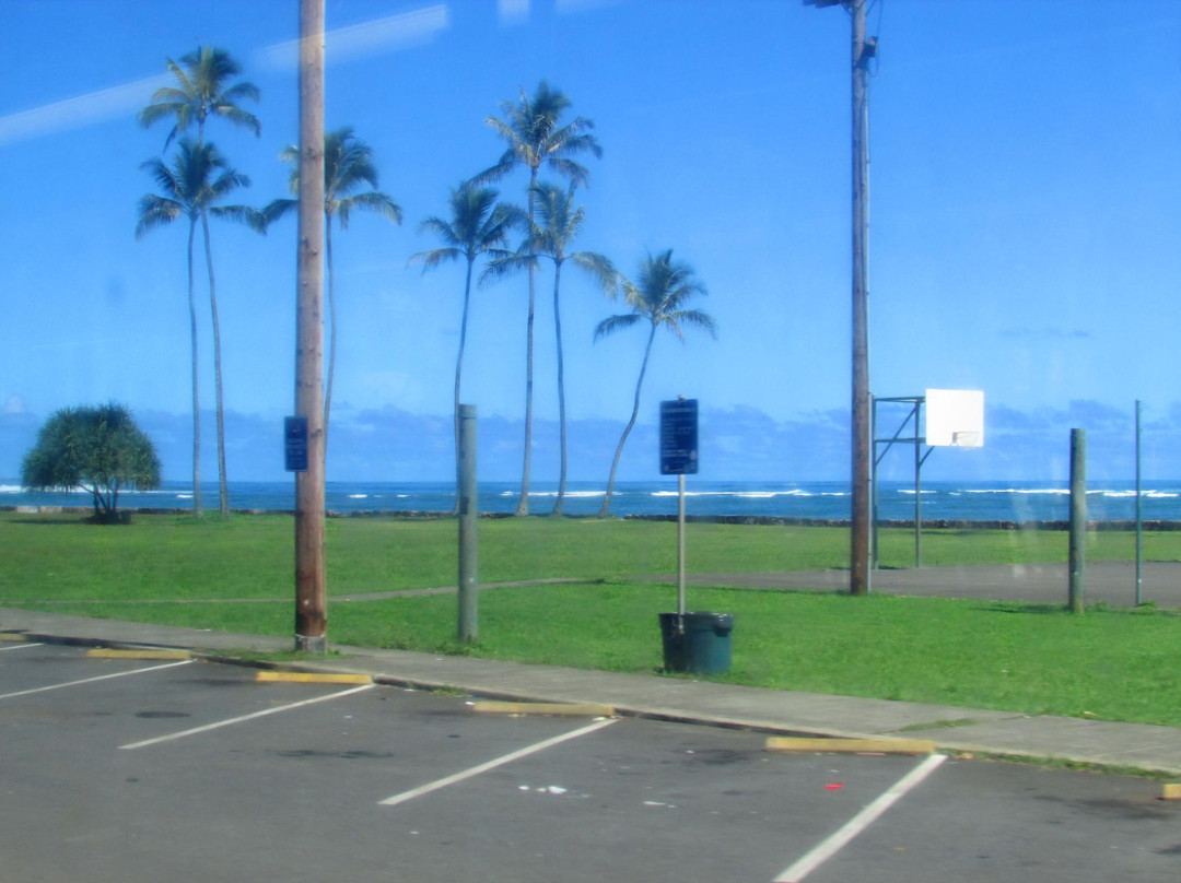 Swanzy Beach Park-卡阿瓦必去景点